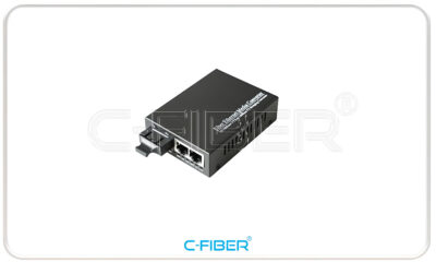 Bộ chuyển đổi quang điện 2 RJ45 10/100/1000M