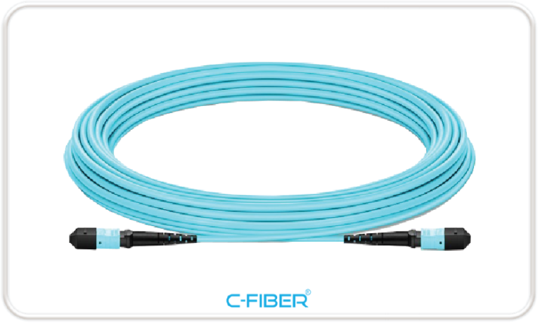 MTP/MPO Trunk Cable - CÔNG TY CỔ PHẦN C-FIBER VIỆT NAM